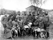 Da li znate šta je tain? Srpska vojska je zbog njega bila spretnija i pokretljivija od neprijatelja