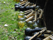 Živeli domaćine: 13 zdravica koje bi svaki Srbin trebao da zna