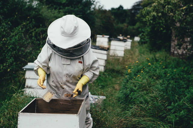 Najveći broj meštana se bavi pčelarstvom, a nekoliko gazdinstava je među vodećim u državi