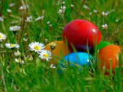 Šta se radi sa starim jajetom: Koja je sudbina prošlogodišnje „čuvarkuće“