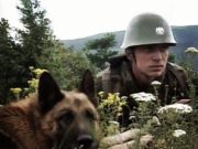 Psi koji su tragično položili život na Košarama: Lister stradao u zasedi OVK, Crnog izrešetali pijani rezervisti Pas Crni Košare